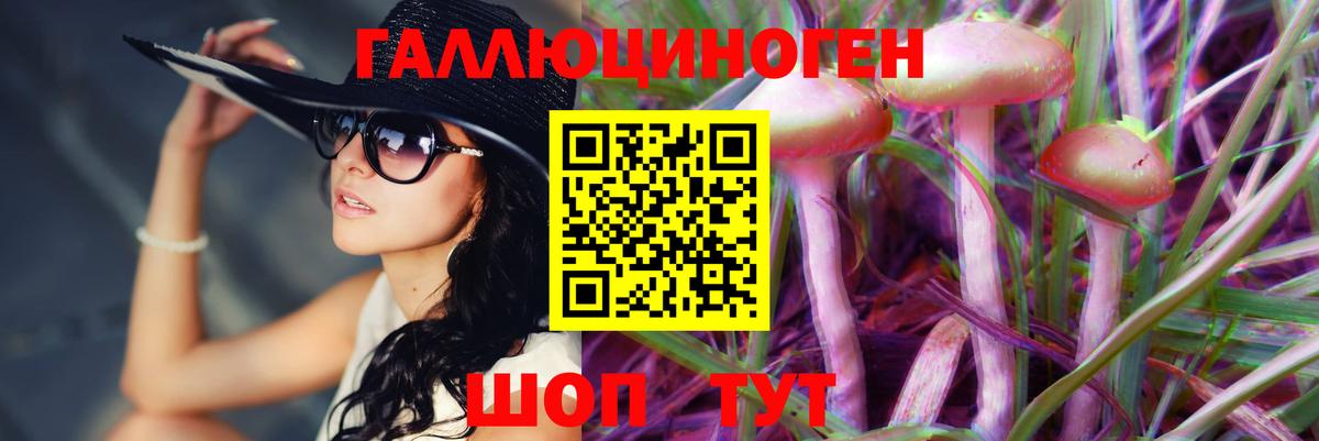 Псилоцибиновые грибы MAGIC MUSHROOMS  Карабулак 