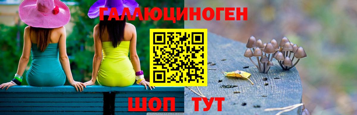 Галлюциногенные грибы Psilocybe Карабулак